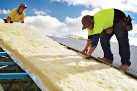 Best Attic Insulation Installation  in Monticello, MN