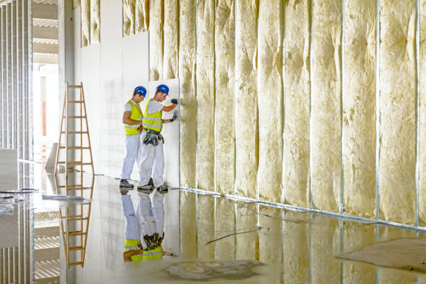 Best Fireproof Insulation  in Monticello, MN